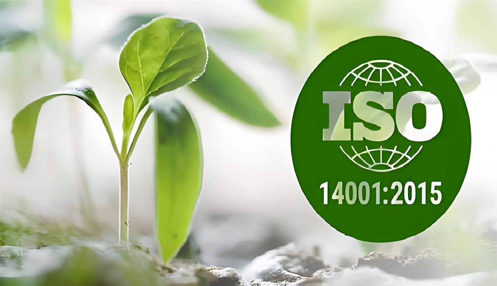 274ef440-b3cb-4074-9cdf-365379d53e2f 274ef440-b3cb-4074-9cdf-365379d53e2f